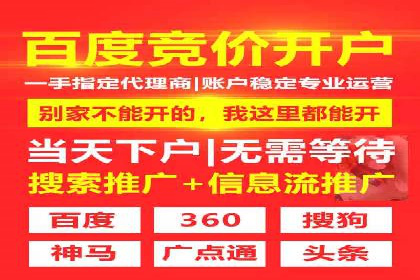 SEM代理助力企业：成功案例分析